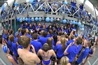 Swimming & Diving vs Babson  Swimming & Diving vs Babson College. - Photo by Keith Nordstrom : Wheaton, Swimming